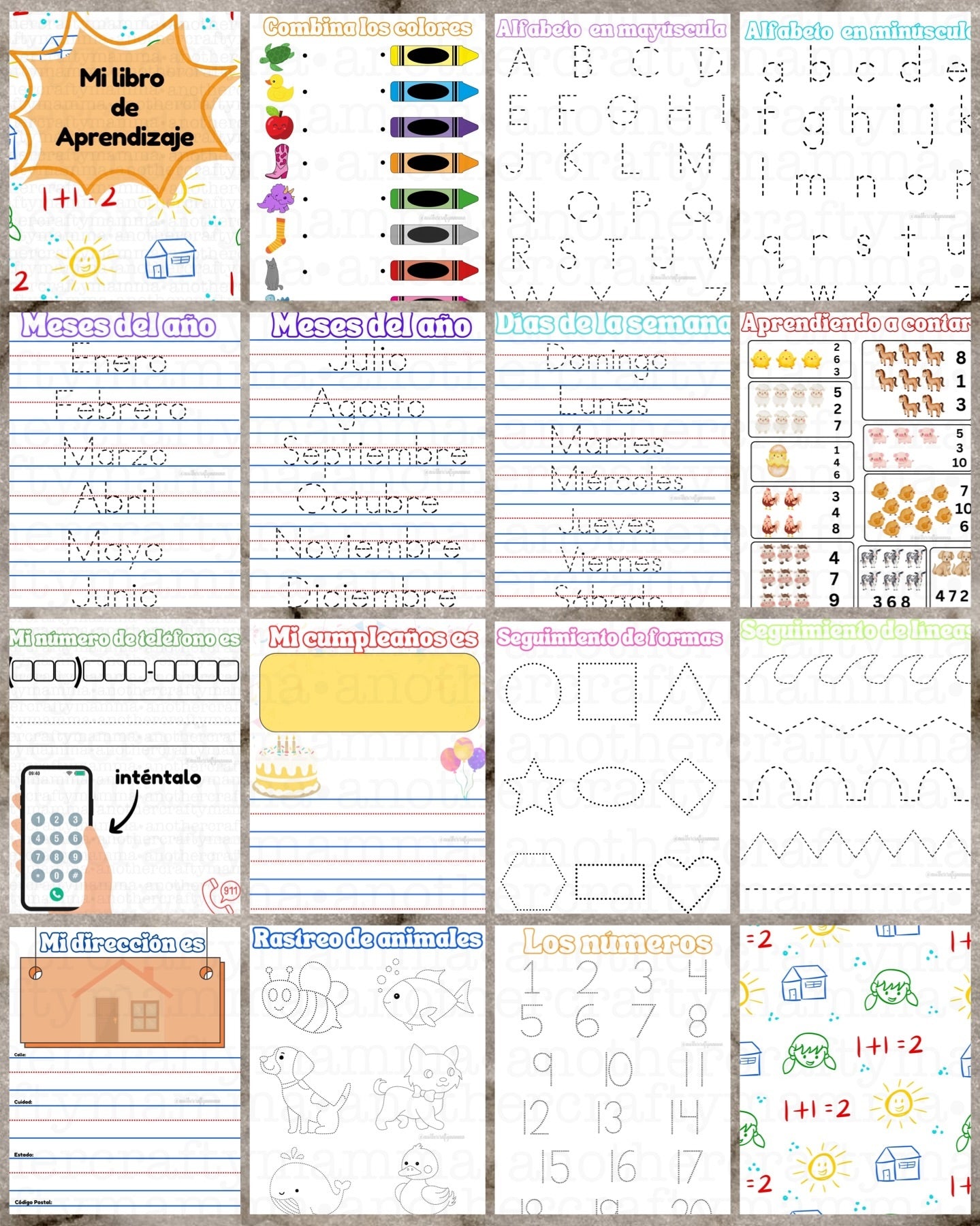 Mi Libro De Aprendizaje Spanish PDF FILE